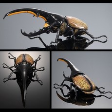 헤라클레스 장수풍뎅이 01 원아종 반다이 생물대도감 프리미엄 어드벤스 곤충 피규어