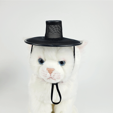 어우동모자