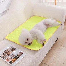 방수 애완 동물 소변 패드 미끄럼 방지 흡수제 건조 고양이 강아, 2.yellow, A.70X50cm, 1개