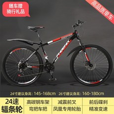 피닉스자전거