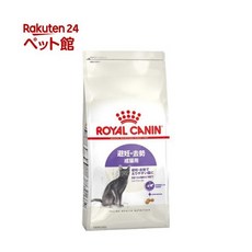 일본한달살기