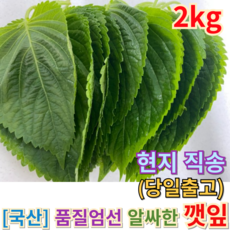 [산지직송] <<국산 알싸한 "깻잎" 생채 1키로>> 국내산 야채 쌈채소 반찬용재료 순한깻잎 가정용 식당용 농장직영 쌈야채 쌈 맛있는쌈야채채소 야들야들쌈채소, 1개, 2kg