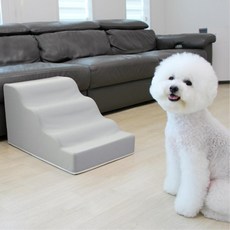 엘르독파파스텝