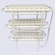 일반led조명으로식물키우기