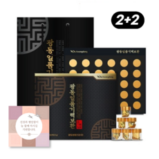 1+1 광동제약 건강 기력환 (쇼핑백+카드 포함 세트) 30환 60환 부모님 선물세트, 4세트, 30회분
