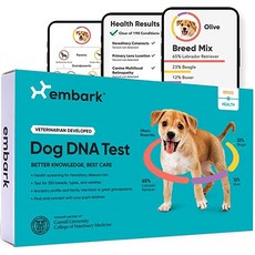 dna테스트