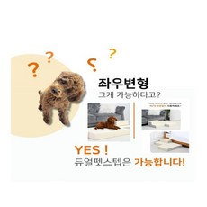 펫스텝-추천-상품