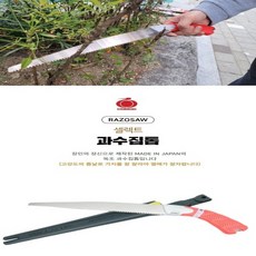 라조
