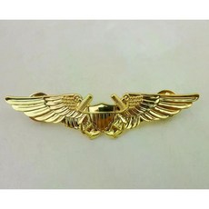 계급장 미국 USMC 항공 장교 파일럿 윙 배지 핀 휘장 Gold-D267