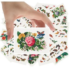 대형 스티커 24개 (각 6.4cm x 8.9cm) 복잡한 바다 생물의 멋진 컬렉션 빈티지 엽서 앤티크 식물학 책 일러스트 포스터, 나인