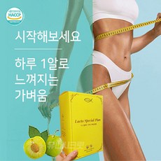 피트네똥차