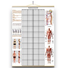 체형측정스크린