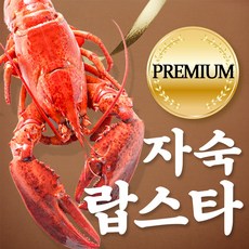 캐나다 바닷가재 자숙 랍스타 450-550g 1마리 2마리 3마리 랍스터, 자숙 랍스타 6마리
