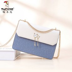 딱따구리 2021 새로운 여성 가방 서양식 원 숄더 메신저 가방 텍스처 체인 가방 여름 작은 사각형 가방 레이디 가방