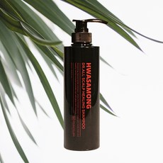 화사몽 닥터올 스칼프 힐링 샴푸, 1개, 500ml