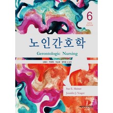 노인간호학, Sue E. Meiner,Jennifer J. Y..., 메디컬사이언스