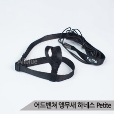 모란앵무하네스