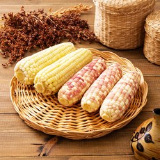 황금찰옥수수