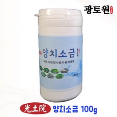 광토원 명품 양치소금 100g, 1개