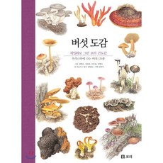 석순자