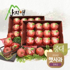 산지애 햇사과 6kg (3kg*2박스), 단품 - 사과박스