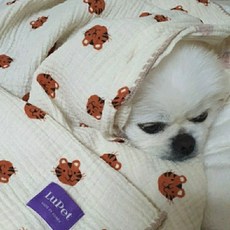 호랑이이불