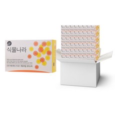 식물나라립앤아이