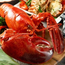랍스터 캐나다 활 랍스터 1kg~3kg 골라담기, 1개, 2.5kg(1마리)