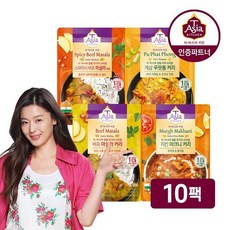 아시아전자미스트기