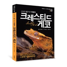 신비의섬 작은 멋쟁이 [크레스티드 게코]