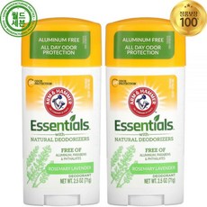 암앤해머 에센셜 내추럴 데오드란트 스틱 로즈마리 라벤더 2개 각 71g Deodorant Essentials Natural Deodorizers Rosemary Lavender