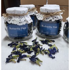 버터플라이피티