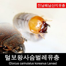 7bd84ad5eab0aa55b9e785029a239eeeff7162e1c94d6ba217ac3e2612b3.jpg