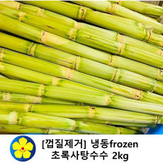 베트남산 껍질벗긴 그린 생사탕수수 2kg