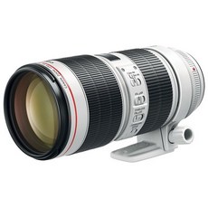캐논ef70-200mmf2.8lisusm