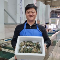 완도산 맛있는 전복 1kg 가정용/선물용, 1박스, 전복 10-11미