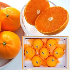 주여비네 제주 천혜향 산지직송 설 선물 세트, 1박스, [가정용] 중소과 2kg