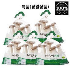 새송이버섯 국내산 400g 1봉지 친환경, 5개
