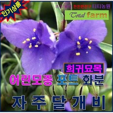 d5bb1a05f711b26a1f8be39597f8084f3cc257b50effa622a9061ad23e42.jpeg