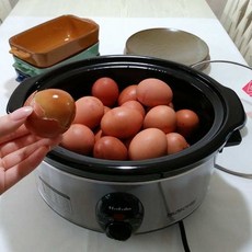 kt글로벌원에그