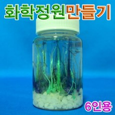 화학정원만들기