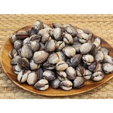 벌교 꼬막 당일조업 새꼬막 3kg 산지직송 꼬막무침 꼬막양념 밥도둑, 1개