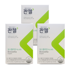 콴첼 보스웰리아 엑스퍼트 액티브 800mg, 30정, 3개