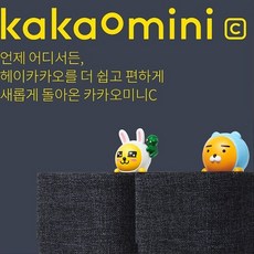 헤이카카오스피커