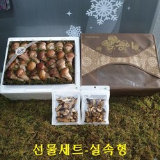 곡성 참송이버섯 선물세트/부모님 생일선물/명절선물, 1박스, 선물세트-실속형