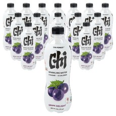 치 포레스트 제로슈거 탄산 포도향, 15개, 480ml