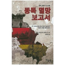 동독멸망보고서, 하늘북