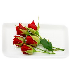 93f197f62b1f7c16cdb984f1c31b90140a10b9dad6b451c32c545a2f0147.jpg