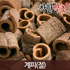 누바스차수정