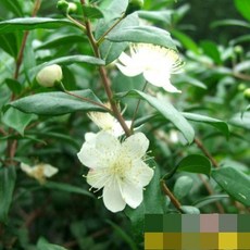 886417cebeb6474d970c26e7f2863718af4389394082c0e19726a120fd34.jpg
